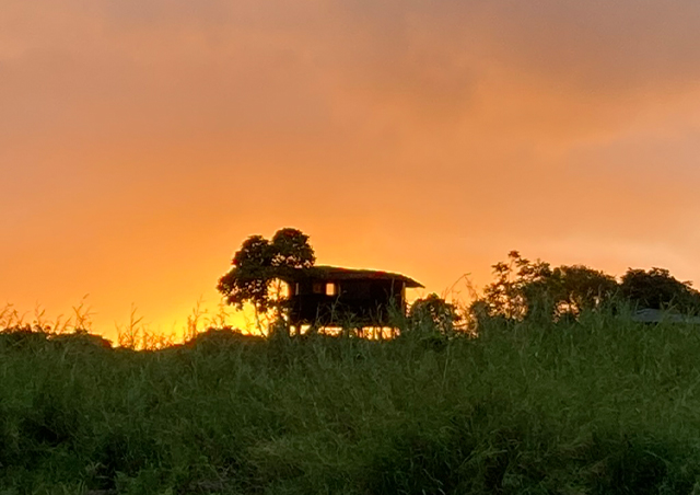 The most beautiful sunset behind a treehouse at Nat Hab’s Tortoise Camp on Santa Cruz Island, Galapagos. 